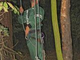055-tocna-10092008-MilanU.jpg