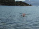 116-jugo-10092008-radekc.jpg