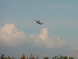 131-11092008-Janek.jpg