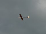 169-18092008-Janek.jpg
