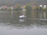 078-hydropohar-11102008.jpg
