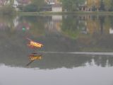099-hydropohar-11102008.jpg