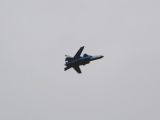 031-Berkut-02112008-Leguan.jpg