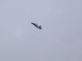 032-Berkut-02112008-Leguan.jpg