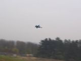 035-Berkut-02112008-Leguan.jpg