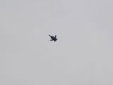 039-Berkut-02112008-Leguan.jpg