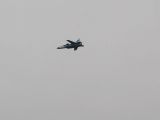 041-Berkut-02112008-Leguan.jpg