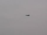 042-Berkut-02112008-Leguan.jpg