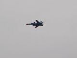043-Berkut-02112008-Leguan.jpg