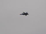 047-Berkut-02112008-Leguan.jpg