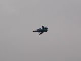 054-Berkut-02112008-Leguan.jpg