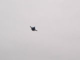 057-Berkut-02112008-Leguan.jpg