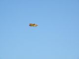 115-tocna-03012009-Ivan.jpg