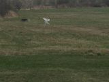 017-tocna-04042009.jpg