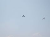 081-tocna-04042009-LadaZv.jpg