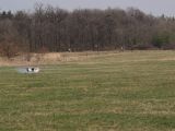 087-tocna-04042009-LadaZv.jpg