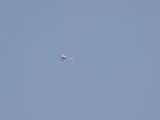 091-tocna-04042009-LadaZv.jpg
