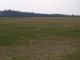 109-tocna-04042009-LadaZv.jpg