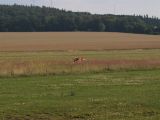 070-tocna-05072009-LadaZv.jpg
