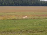 071-tocna-05072009-LadaZv.jpg