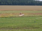 072-tocna-05072009-LadaZv.jpg