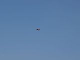 089-tocna-05072009-LadaZv.jpg