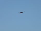 006-tocna-03102009-Janek.jpg