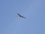008-tocna-09122008-Janek.jpg