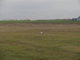 051-tocna-21122008.jpg