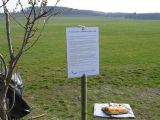 111-tocna-16042010-Janek.jpg