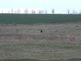 174-tocna-27032010-Janek.jpg