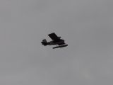 184-tocna-27032010-Janek.jpg