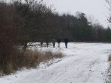 060-tocna-03012010-Janek.jpg
