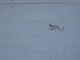 104-tocna-09012010-MichalH.jpg