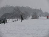 111-tocna-10012010.jpg