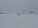 013-tocna-06022010-Janek.jpg