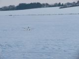 068-tocna-07022010.jpg