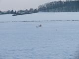 071-tocna-07022010.jpg