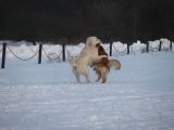 084-tocna-07022010.jpg