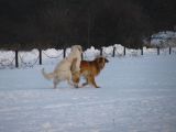 085-tocna-07022010.jpg