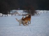 086-tocna-07022010.jpg
