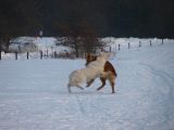 087-tocna-07022010.jpg