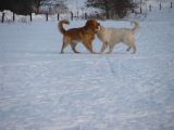 088-tocna-07022010.jpg