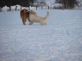 089-tocna-07022010.jpg