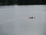 105-hydroplaneni-radekc_kaiser-08082009.jpg