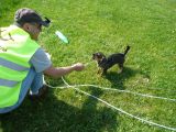 038-tocna-09052010-Janek.jpg