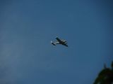 049-tocna-09052010.jpg