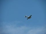 050-tocna-09052010.jpg