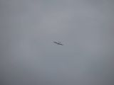 043-tocna-20110115.jpg