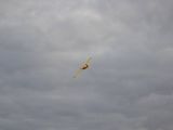 050-tocna-20110115-Helium.jpg